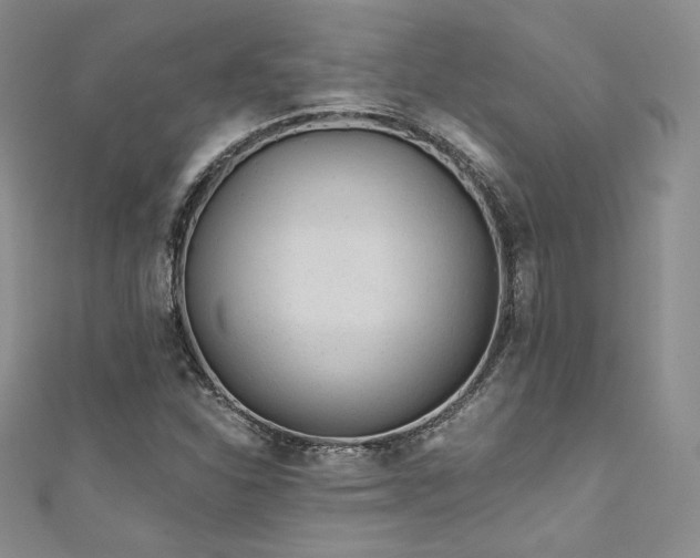 X0000111871310200907231504