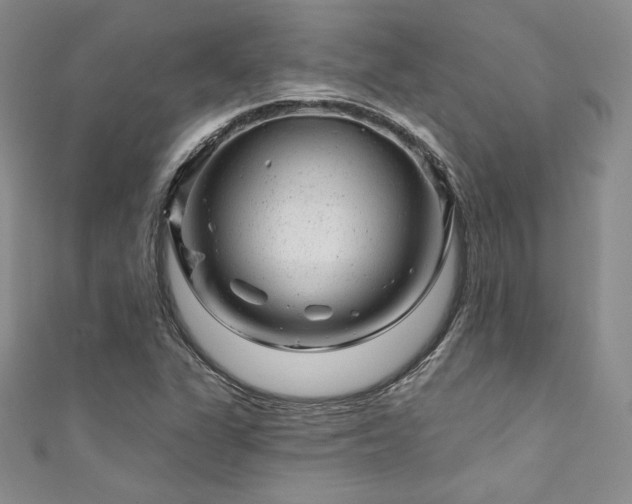 X0000111871311200907231504