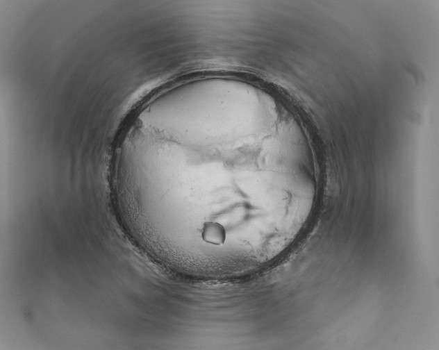 X0000111871314200907231505