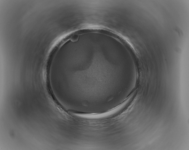 X0000111871319200907231505