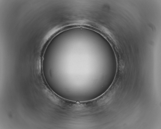 X0000111871320200907231505