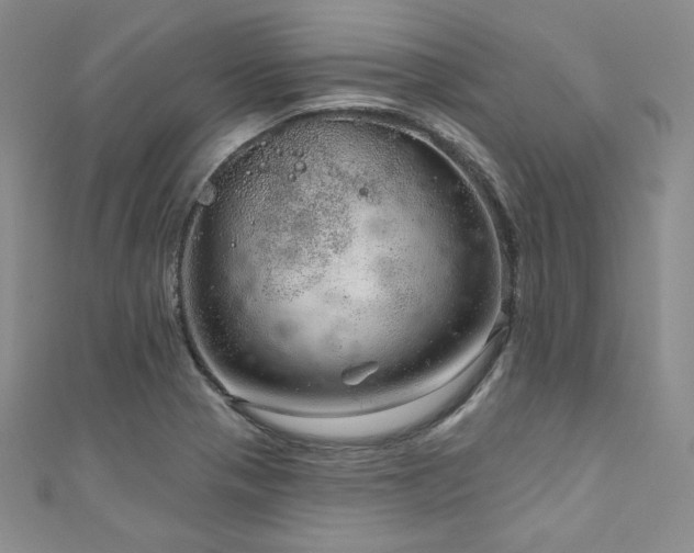 X0000111871321200907231505