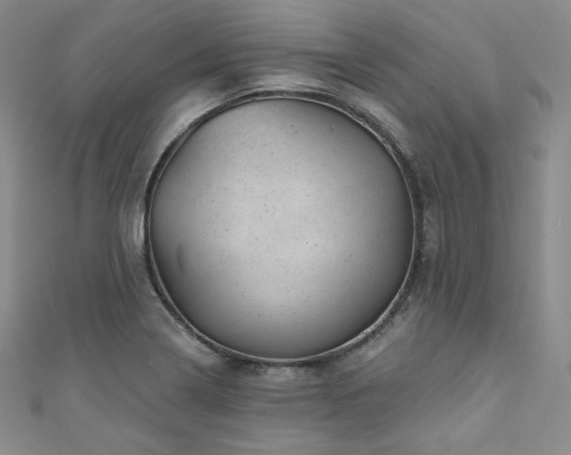 X0000111871322200907231505