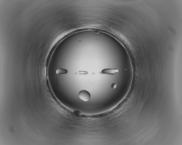 X0000111871324200907231505