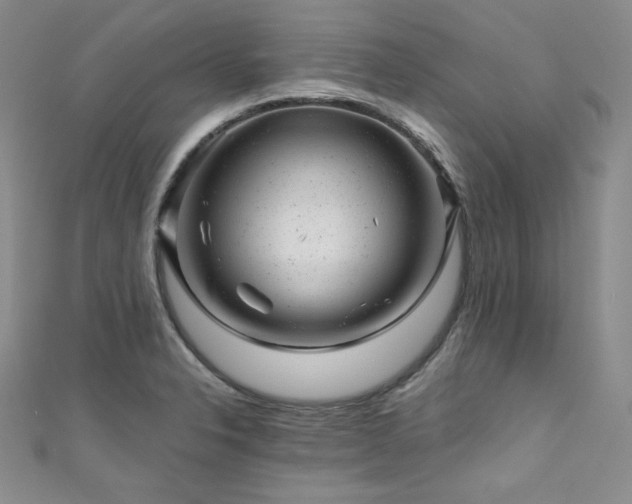 X0000111871326200907231505