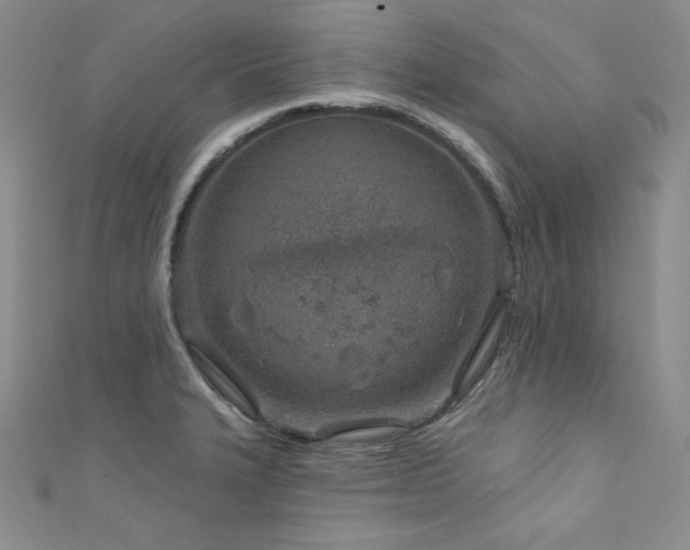 X0000111871327200907231505