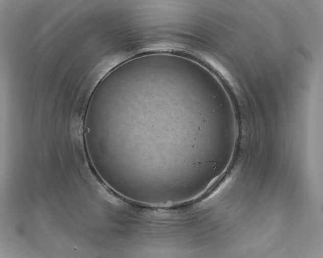 X0000111871329200907231505