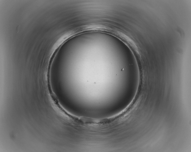 X0000111871330200907231505