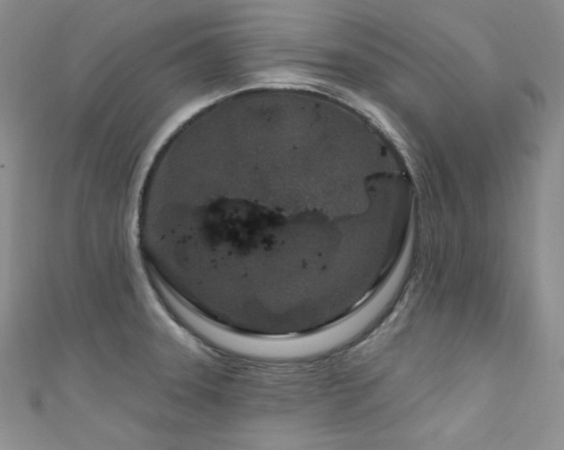 X0000111871331200907231505