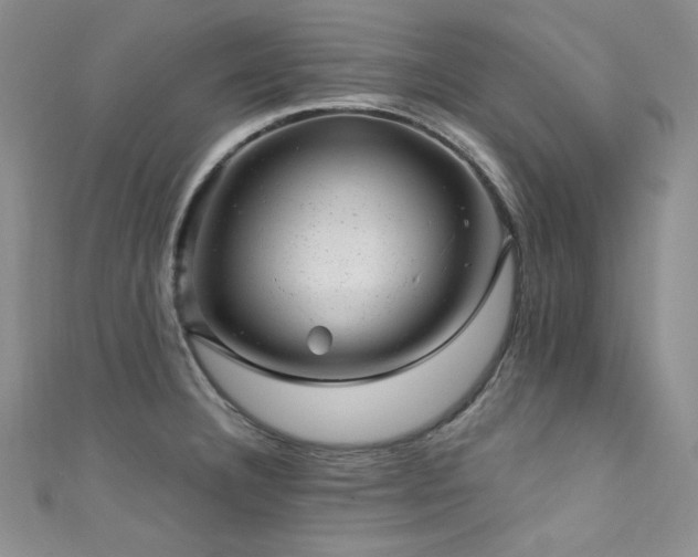 X0000111871332200907231505