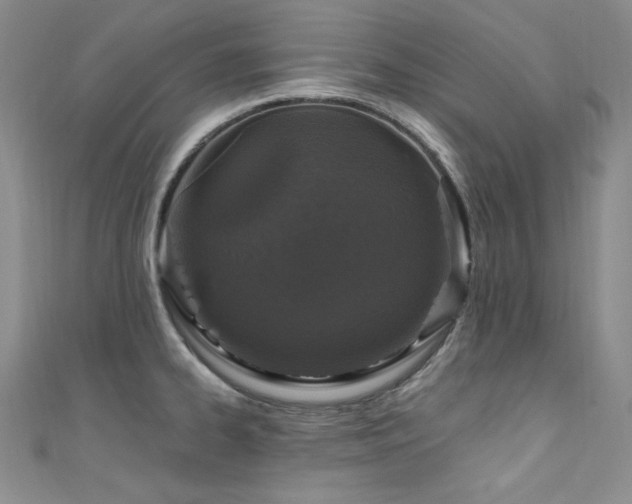 X0000111871334200907231505