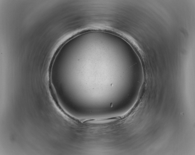 X0000111871335200907231505