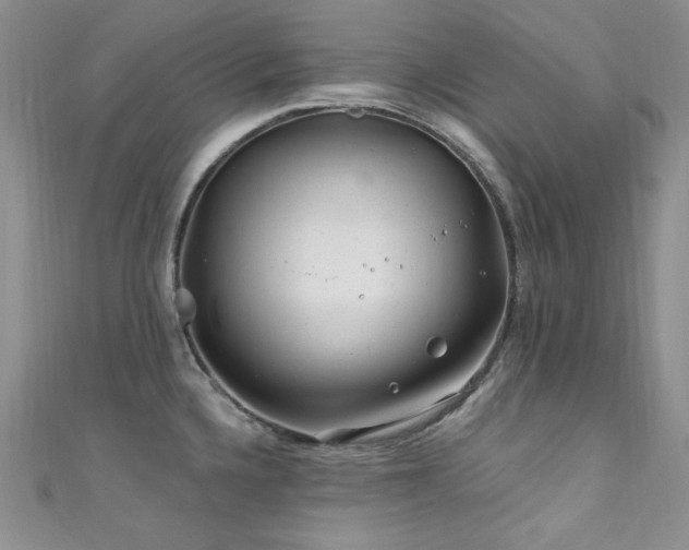 X0000111871336200907231505