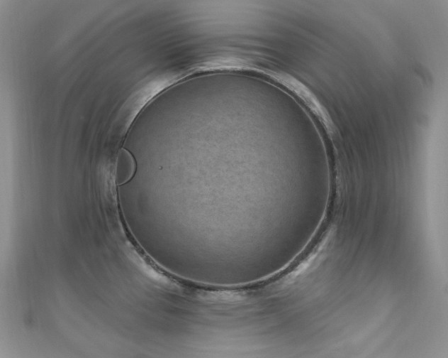 X0000111871337200907231505