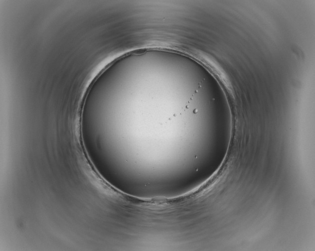 X0000111871340200907231505