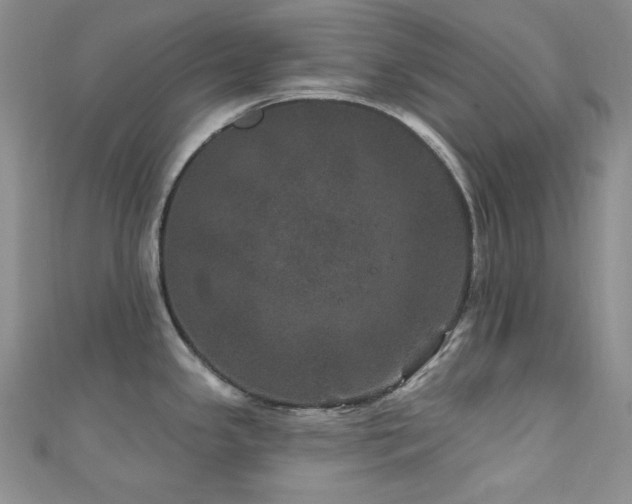 X0000111871341200907231505
