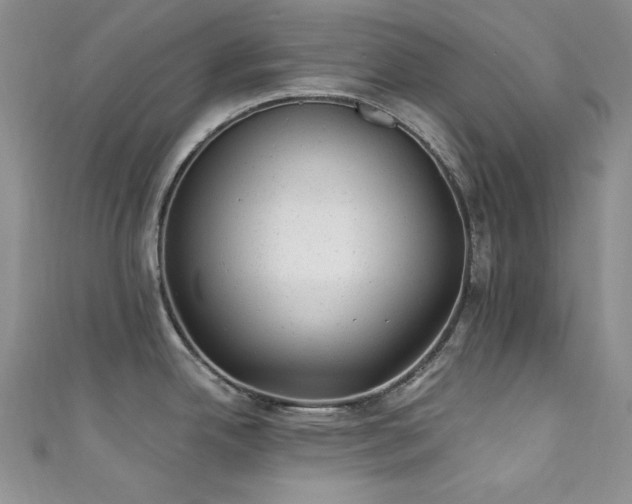 X0000111871342200907231505