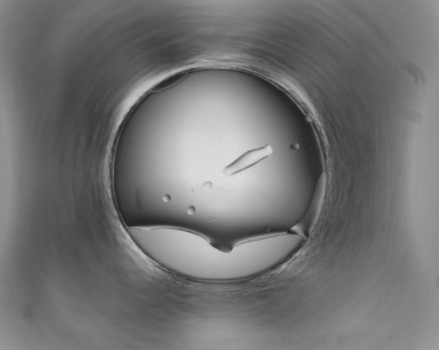 X0000111871344200907231505