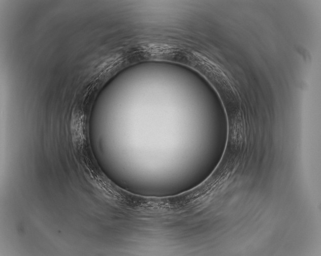X0000111871346200907231504