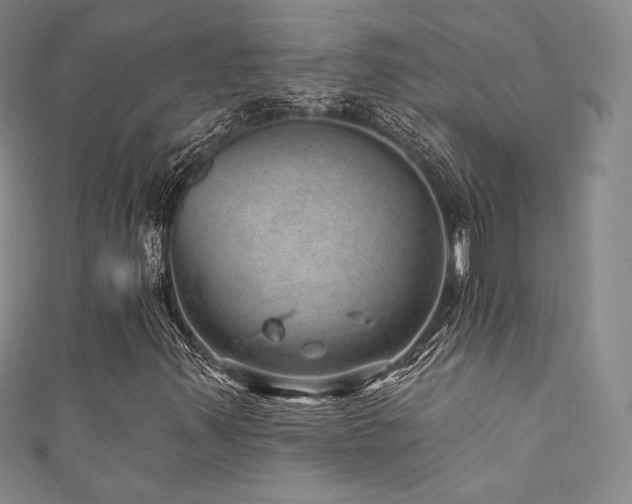 X0000111871347200907231504