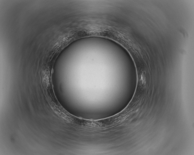 X0000111871348200907231504