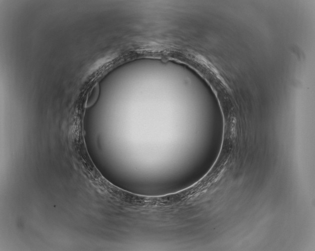 X0000111871350200907231504