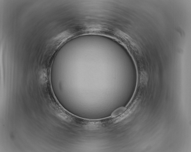 X0000111871353200907231504