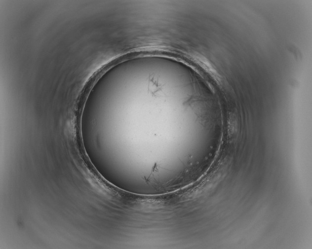 X0000111871356200907231504