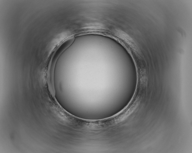 X0000111871357200907231504