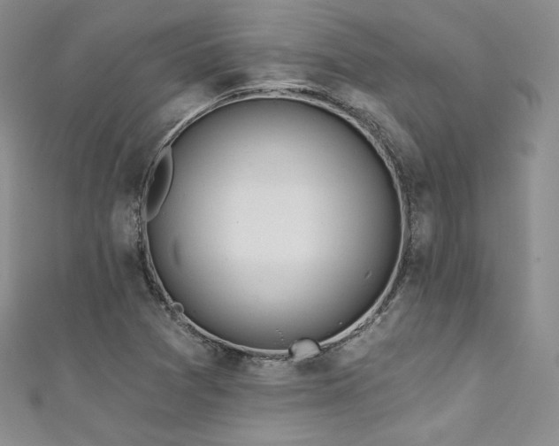 X0000111871361200907231504