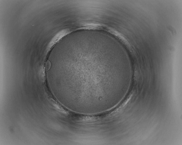 X0000111871362200907231504