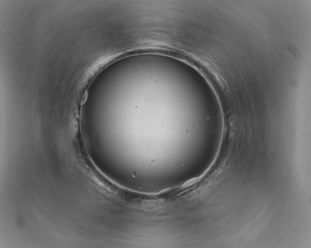 X0000111871363200907231504