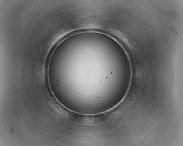 X0000111871364200907231504