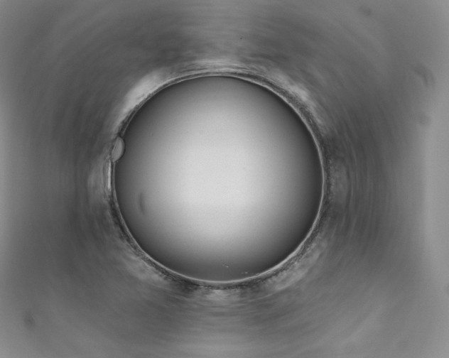 X0000111871365200907231504