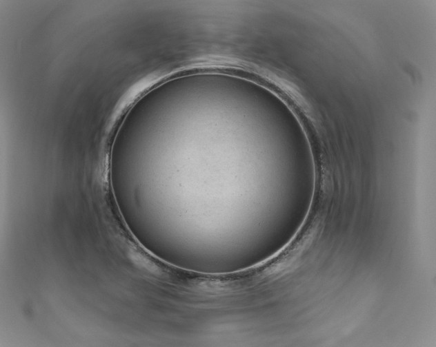 X0000111871366200907231504