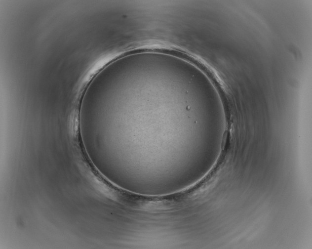 X0000111871367200907231504