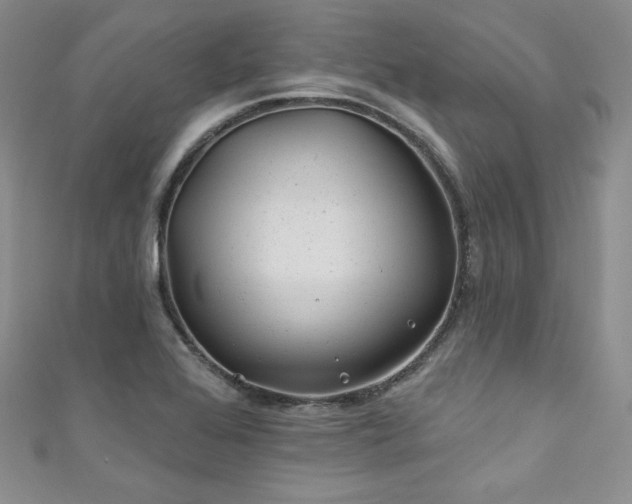 X0000111871368200907231504