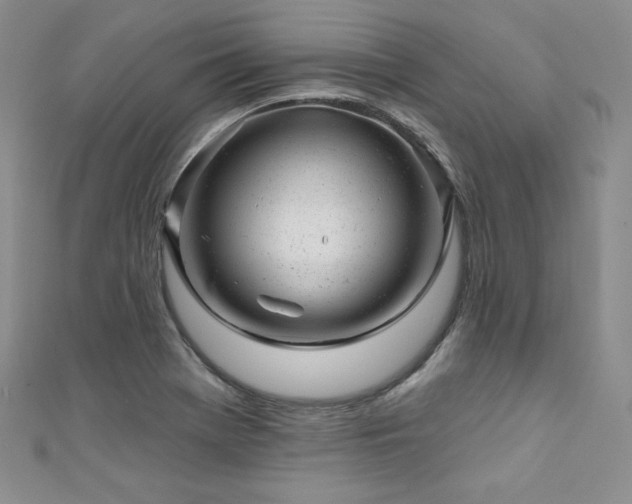 X0000111871369200907231504