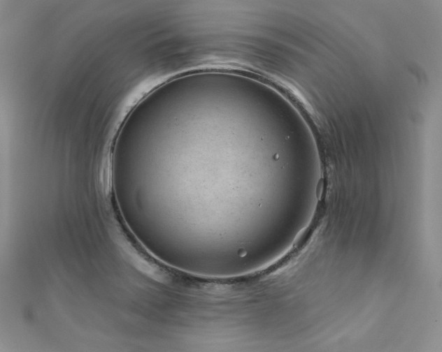 X0000111871371200907231504