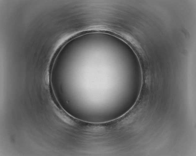 X0000111871372200907231504