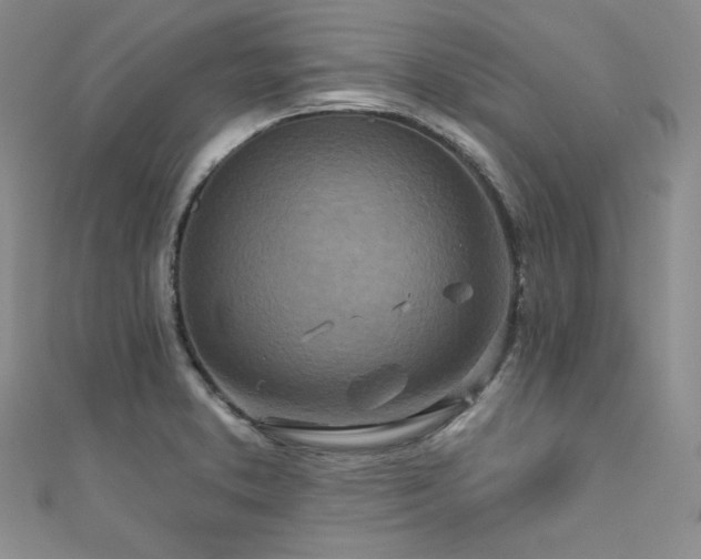 X0000111871373200907231504
