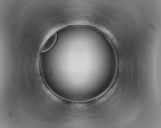 X0000111871374200907231504