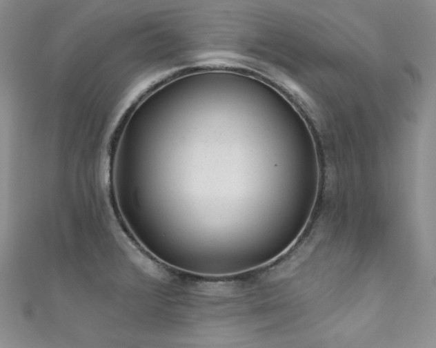 X0000111871376200907231504
