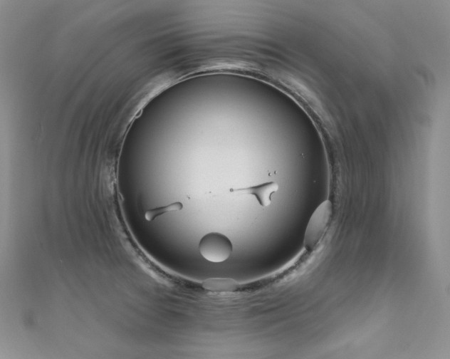 X0000111871377200907231504