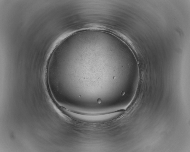 X0000111871379200907231504
