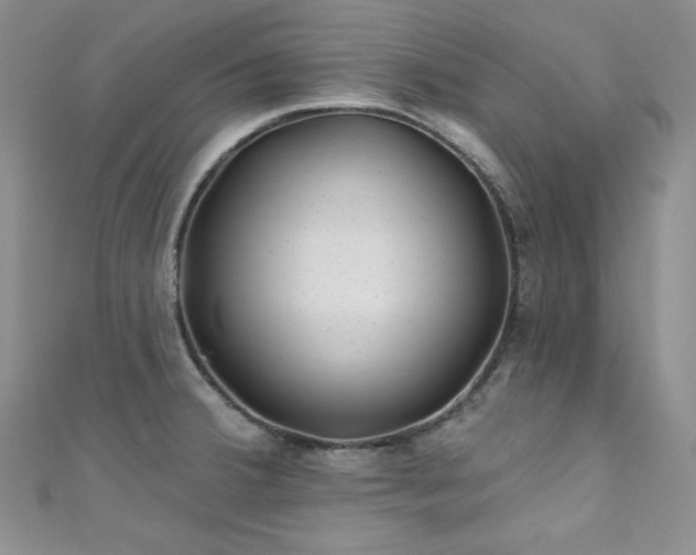 X0000111871380200907231504