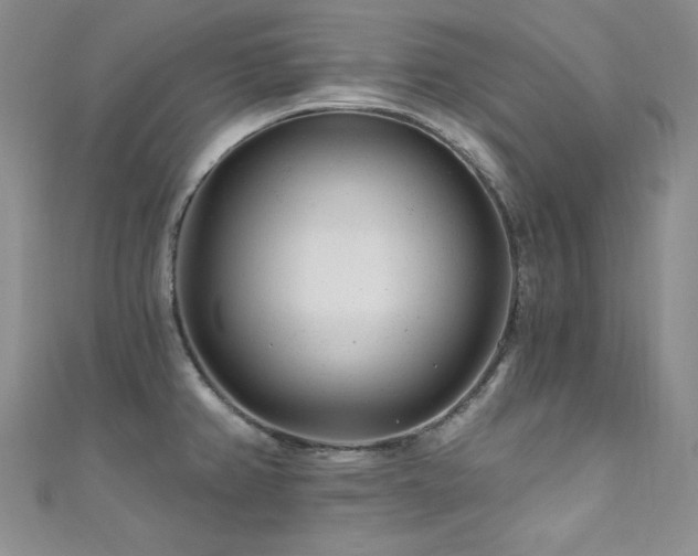 X0000111871382200907231504