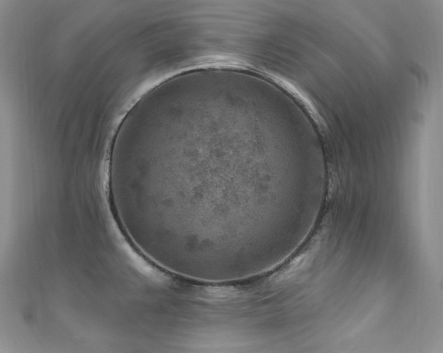 X0000111871383200907231504