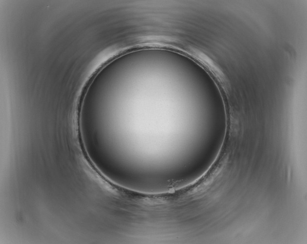 X0000111871384200907231504