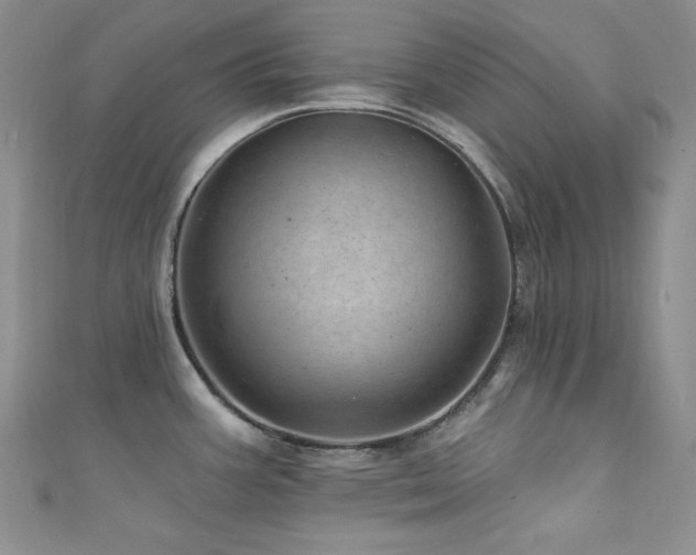 X0000111871387200907231504